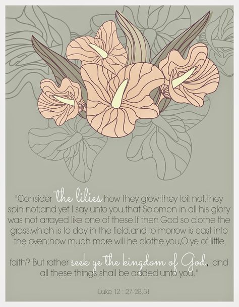 Consider The Lilies, Flower Meanings, Bible Love, Christian Bible Quotes, Bible Quotes Prayer, Christian Bible, Scripture Quotes, Catholic Faith, Verse Quotes