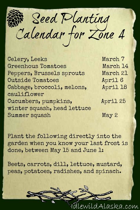 Seed Planting Calendar, Alaska Gardening, Cold Climate Gardening, Seed Planting, Planting Calendar, Gardening Zones, Garden Calendar, Victory Garden, Gardening Advice