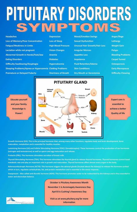 Pituitary Gland...Type 1~~~ Pituitary Tumor Awareness, Pituitary Adenoma Awareness, Empty Sella Syndrome, Pituitary Gland Healing, Pituitary Adenoma, Pituitary Gland Disorders, Pituitary Gland Tumor, Pituitary Tumor, Cushings Syndrome