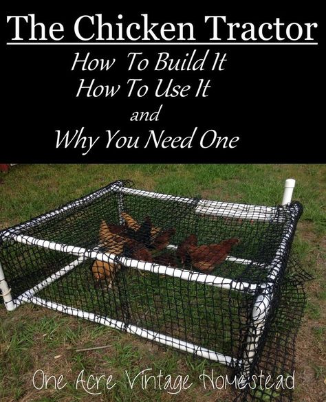 Moveable Chicken Run, Easy Chicken Run, Chicken Run Diy, Chicken Coop Designs Diy, Building A Chicken Run, Vintage Homestead, Chicken Coop Kit, Chicken Tractors, Tractor Idea