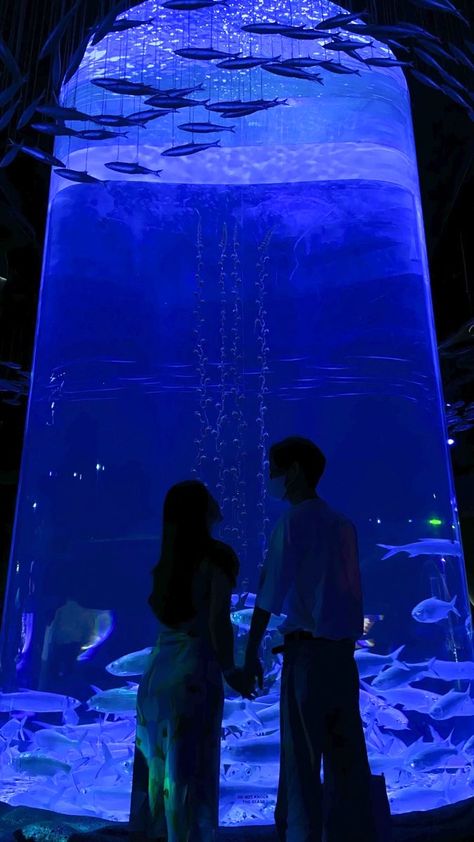 Outfits For Aquarium Date, Aquriam Date, Cute Dates For Couples Ideas Pictures, Aquarium Photoshoot Couple, Outfits For The Aquarium, Aquarium Inspo Pics, Couple At Aquarium, Aquarium Date Pictures, Aquarium Engagement Photos