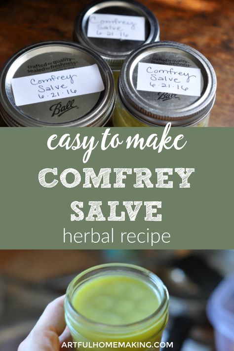 Learn how to make your own comfrey salve with this simple DIY recipe! This herbal recipe is great for so many things, and it's easy to make your own.  #herbs #comfrey #comfreysalve #diy #naturalremedy #naturalskincare Comfrey Salve Recipe, Comfrey Salve, Herbal Remedies Recipes, Diy Beginner, Salve Recipes, Foraging Recipes, Herbal Salves, Healing Salves, Herbal Recipes