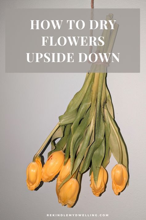 How to Dry Flowers Upside Down - Rekindle My Dwelling How To Dry Bouquet Flowers, How To Dry Flowers, How To Make Sunflower, Preserve Flowers, Wilted Flowers, Drying Roses, Dried Bouquet, Preserved Roses, Dry Flowers