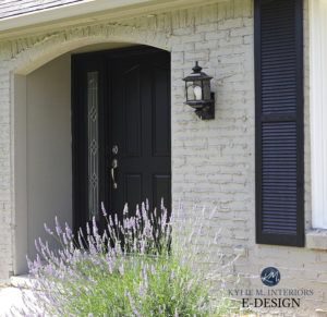 Exterior textured thick stucco, Sherwin Williams Dorian Gray, Extra White, Tricorn Black front door and shutters. Kylie M Interiors Edesign, online paint color expert and diy decorating blogger (2) Gray Painted Brick House, Exterior House Paint Ideas, Sherwin Williams Dorian Gray, House Paint Ideas, Popular Neutral Paint Colors, Grey Brick Houses, Popular Grey Paint Colors, Kylie M Interiors, Warm Grey Paint Colors