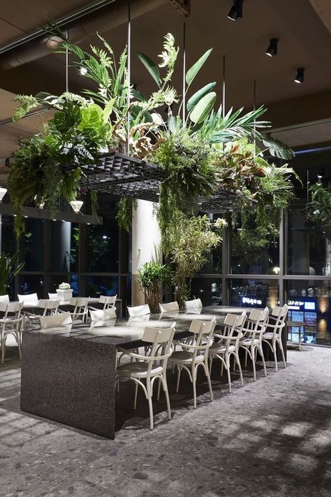 Botanical Interior, Plants Hanging, 카페 인테리어 디자인, Garden Cafe, Indoor Dining, Bar Interior, Coffee Shop Design, Bar Design Restaurant, Cafe Interior Design