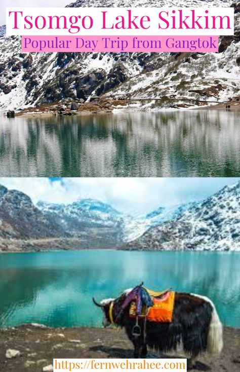 Read about Popular Places to Visit in Gangtok,Tsomgo Lake in Sikkim.Tsomgo lake is visited as a day trip from Gangtok and it is popular high altitude lake of Sikkim.Read about how you can reach here via Public transport. #placestovisitGangtok #Gangtoktravel #tsomgolakesiikim Valley Of Flowers, Gangtok, Northeast India, Koh Phangan, Darjeeling, Tourist Places, Travel Packages, India Travel, Tour Packages