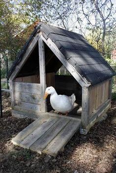 Diy Duck House, Duck House Diy, Duck Enclosure, Duck House Plans, Duck Houses, Duck Pens, Goose House, Ducks And Chickens, Ormanlık Alan