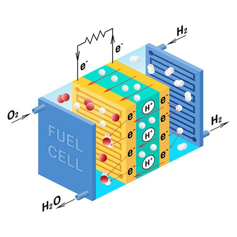 Hydrogen Powered Cars, Galvanic Cell, Cell Diagram, Cell Parts, Cells Project, Hydrogen Gas, Business Car, Hydrogen Fuel Cell, Hydrogen Fuel