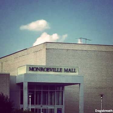 Monroeville Mall, Dawn Of The Dead, George Romero, Dead Malls, Madeira Beach, Zombie Movies, Liminal Space, Liminal Spaces, Forest Hills