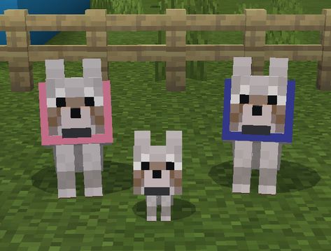 Noah Crafts, Wolf Pfp, Minecraft Animals, 2 Wolves, Minecraft Wolf, Minecraft Baby, Roblox Image Ids, Minecraft Mobs, Minecraft Fan Art