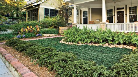 ultimate low-maintenance yard -- Define your space with a fence, wall, or low hedge of shrubs that never need pruning, as Walt did with the Heller Japanese hollies near the street. Other good choices: dwarf yaupon holly or rosemary. Lawn Free Front Yard, Lawn Free Landscaping, Lawn Free Yard, Low Maintenance Yard, Lawn Alternatives, Small Front Yard, Small Front Yard Landscaping, Front Yard Fence, Low Maintenance Landscaping