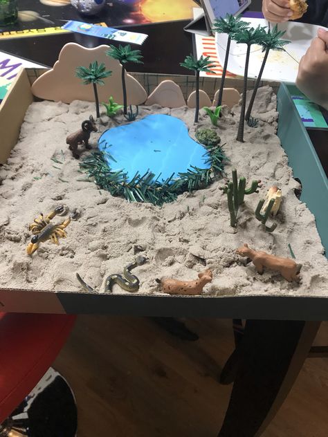 Made this oasis/ desert diorama for school project! Ideas For School Projects, Ecosystems Diorama, Desert Diorama, Biomes Project, Diorama Kids, Ecosystems Projects, Diarama Ideas, Desert Biome, Habitats Projects