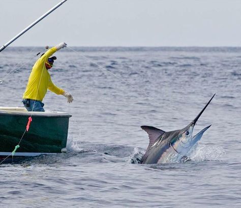 Offshore Fishing Boats, Bottom Fishing, Fishing Photos, Salt Water Fish, Offshore Fishing, Pose For The Camera, Water Sport, Salt Life, Sport Fishing