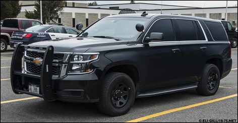 2015 Chevy Tahoe, Us Police Car, Albino Animals, Federal Law Enforcement, Police Vehicles, Highway Patrol, Sheriff Office, Chevy Tahoe, Police Car