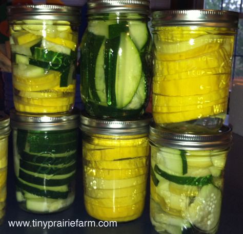 Pressure Canning Squash and Zucchini – Tiny Prairie Farm Pressure Canning Squash, Canning Squash And Zucchini, Canning Yellow Squash, Canning Squash, Canning Zucchini, Canned Zucchini, Canned Squash, Canning Pressure Cooker, Homesteading Recipes