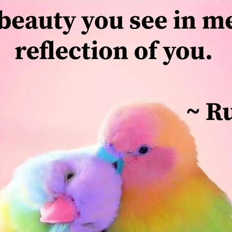 Imtiaz Abbasi on Instagram: "The beauty you see in
me is a reflection of you.

~ Rumi
  #Love #Heart
  #Rumi #Rumiquotes #rumipoetry" Rumi Poetry, Rumi Love, Rumi Quotes, August 10, Rumi, The Beauty, Memes, On Instagram, Beauty