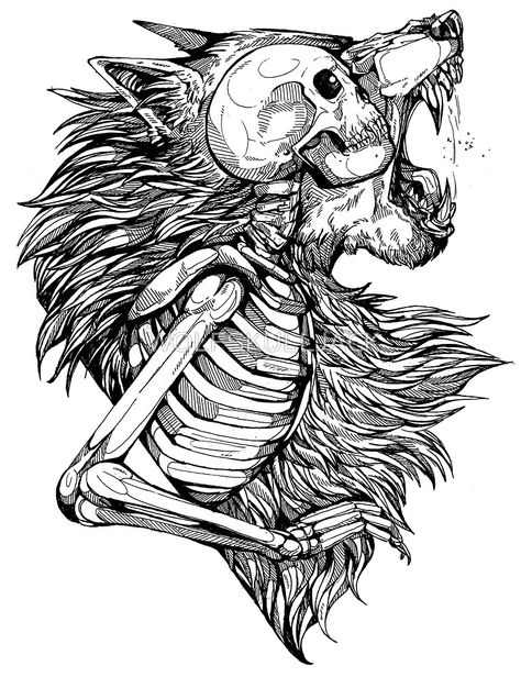 Tier Tattoo, Tattoo Collection, Werewolf Art, Skeleton Art, Desenho Tattoo, Wolf Tattoos, Wolf Tattoo, Dark Gothic, Wolf Art