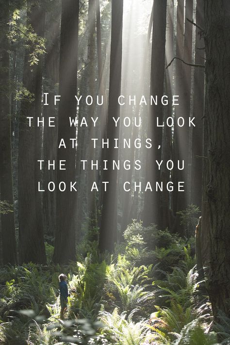 If you change the way you look at things, the things you look at change. #PatrickOrtonPhotography Hypnotherapy Quotes, Stumbling On Happiness, Wedding Vows Quotes, Quote Tattoos Placement, Quotes About Change, Short Words, Life Changing Quotes, Super Quotes, Hypnotherapy