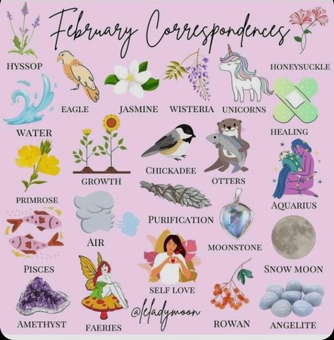 Month Magical Correspondences, February Correspondences, February Witchcraft, February Symbols, Book Printables, Goddess Magick, Moon Phase Calendar, Traditional Witchcraft, Happy February