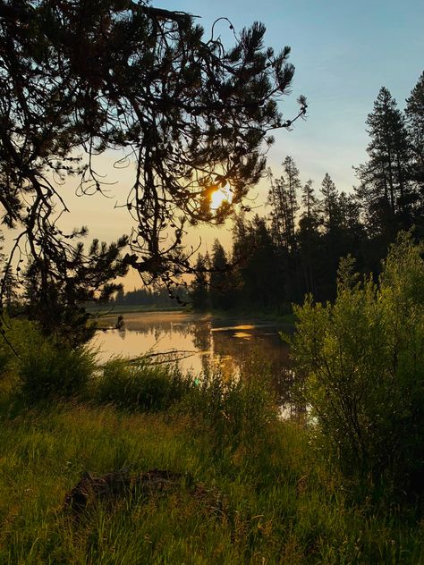 nature hike Early Evening, Spring Morning, Early Summer Aesthetic, Early Autumn Morning Aesthetic, Early Summer Morning Aesthetic, Morning Hike Aesthetic, Early Morning Sunlight, In The Early Morning Forest Wallpaper, Foggy Summer Morning