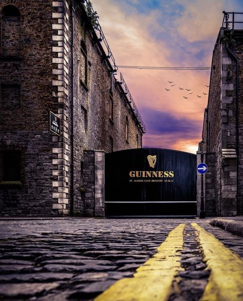 IrishCentral on Instagram: “Guinness Storehouse, Dublin. Photo by @jamesbaker_photography. Have you been to the Guinness Storehouse while visiting Dublin? Let us know…” Guinness Storehouse Dublin, Guinness Storehouse, Visit Dublin, Irish Landscape, Guinness, May 1, Dublin, Screen, Let It Be