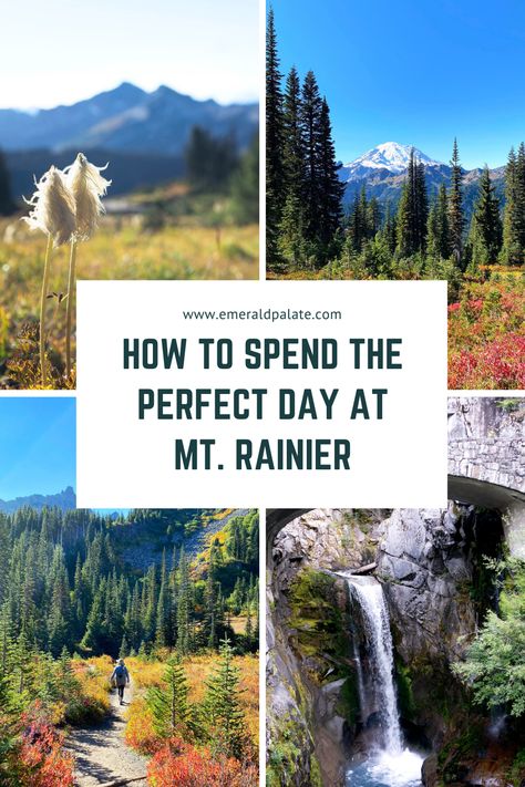 collage of pictures from Mount Rainier National Park, including mountains, trees, meadows, a closeup of a wheat-like plant, and a waterfall Mt Rainier National Park One Day, My Rainier National Park, Day Trips From Seattle, Washington Road Trip, Bucket List Adventure, Mt Rainer, Washington Trip, Seattle Trip, Washington Vacation