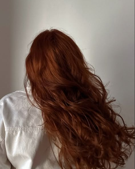 Dark Ginger Hair, Natural Red Hair, Red Hair Inspo, Hair Color Caramel, Dark Red Hair, Ginger Hair Color, Caramel Hair, Hair Color Auburn, Copper Hair Color