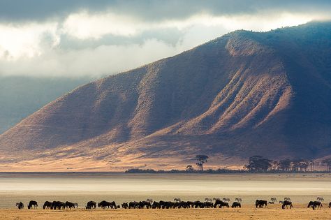 https://flic.kr/p/diVDZ5 | Ngorongoro Crater, Tanzania Ngorongoro Crater Tanzania, Africa Moodboard, Visiting Africa, Travel Tanzania, Nature Wonders, Ngorongoro Crater, Tanzania Travel, Travel 2024, Visit Africa