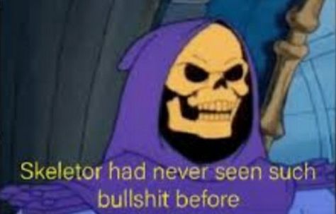 Skeletor Funny, Skeletor Memes Funny, Skeletor Facts, Skeletor Quotes, Funny Profile Pictures, Funny Reaction Pictures, Really Funny Joke, Really Funny Pictures, Really Funny Memes