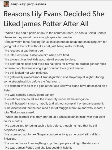 James Potter Personality, Lily X James, James X Lily, Jily Headcanon, Harry Potter Brief, James And Lily Potter, Lily And James, James And Lily, Scorpius And Rose