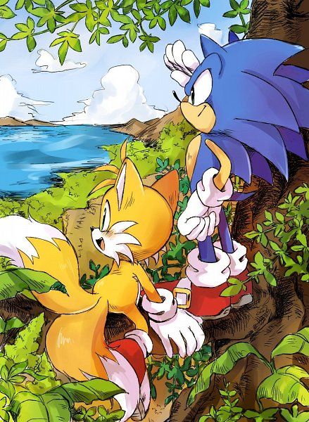 Sonic the Hedgehog & Tails - artist unknown Toei Sonic, Sonic And Tails, Sonic Mania, Sonic Heroes, Sonic Fan Characters, Blue Hedgehog, Sonic Franchise, Sonic Adventure, Hedgehog Art