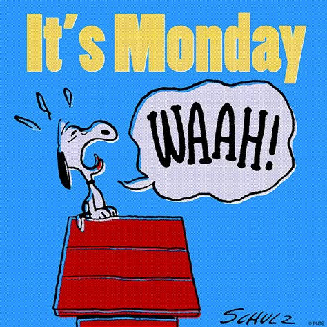 It's Monday. Happy Monday Quotes, Monday Morning Quotes, Monday Images, Snoopy And Charlie Brown, Snoopy Cartoon, Peanut Gang, Monday Humor, Week Quotes, Snoopy Quotes