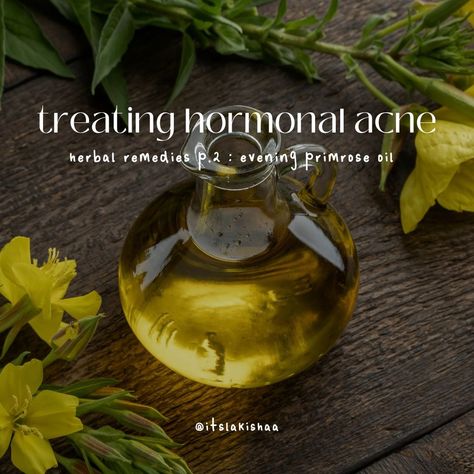 Herbal teas for hormonal acne featuring Evening Primrose, a natural remedy to balance hormones and enhance skin health. Ideal for holistic skincare routines. Primrose Benefits, Evening Primrose Benefits, Treat Hormonal Acne, Holistic Skincare, Holistic Skin Care, Balance Hormones, Natural Acne, Hormonal Acne, Acne Solutions