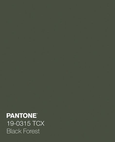 Pantone Colour Palettes, Green Palette, Forest Green Color, Green Colour Palette, Black Forest, Color Collection, Color Swatches, Pantone Color, Brand Colors