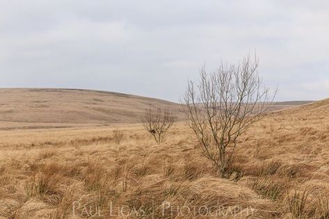 Bleak Landscape, Elan Valley, Photography Sky, Phone Backgrounds, Norfolk, Landscape Photography, Wales, The Game, Fine Art Prints