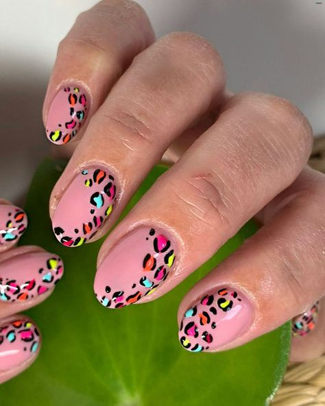 Rainbow Leopard Print Nails, Colorful Animal Print Nails, Rainbow Leopard Nails, Bright Leopard Print Nails, Pink Leopard Print Nails, Leopard Print Nail Art, Leopard Print Nail, Neutral Nails Acrylic, Print Nail Art