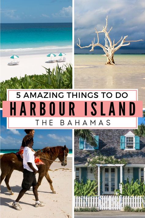 Discover the top 5 things to do in harbour Island Bahamas including the famous Pink Sands Beach. Located on Eleuthera Island. Find out how to get to harbour island Bahamas from Florida or Nassau. Discover the best things to do in Bahamas at Harbour Island, Dunmore Town the original capital of the Bahamas. Harbour island is the top place to visit on Eleuthera. #HarbourIsland #Eleuthera Harbor Island Bahamas, Pink Sands Beach, Bahamas Travel Guide, Bahamas Honeymoon, Harbour Island Bahamas, Bahamas Resorts, Eleuthera Bahamas, Bahamas Travel, Harbor Island