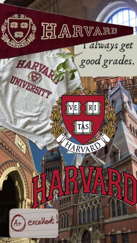 University Inspiration, Dream Studies, College Inspiration, College Vision Board, Law School Inspiration, Harvard College, College Motivation, Med School Motivation, Exam Motivation