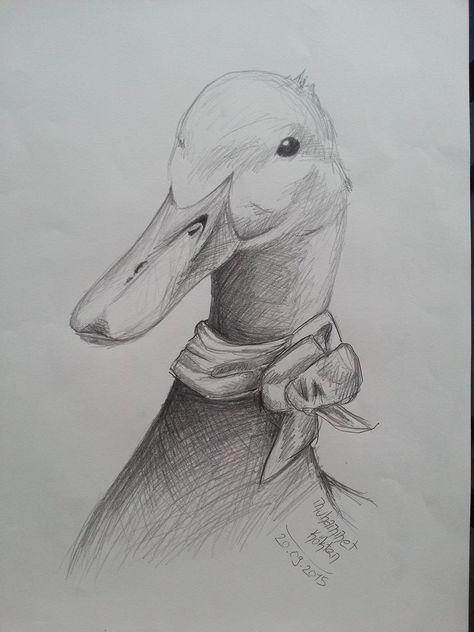 drawing duck Duck Drawing Realistic, Duck Sketch, Biro Drawing, Duck Drawing, Duck Photo, Animal Drawings Sketches, Astuces Diy, Watercolor Journal, Animal Sketches