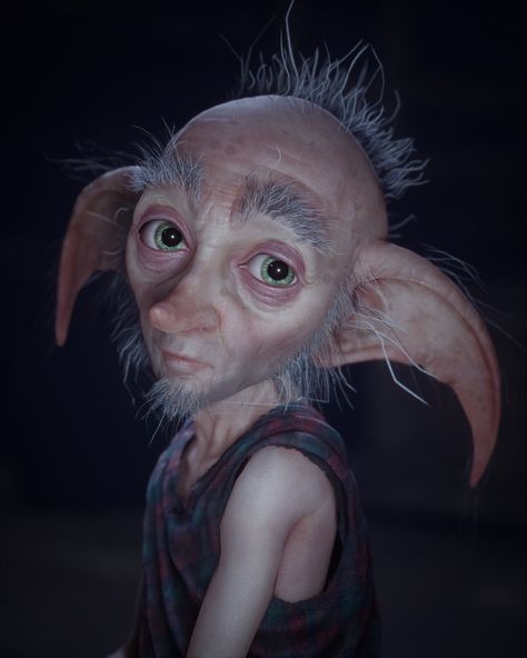 House Elf Art, Harry Potter House Elf, House Elf Harry Potter, Harry Potter Elf, Harry Potter Rpg, House Elves, House Elf, Harry Potter Cartoon, Harry Potter Games