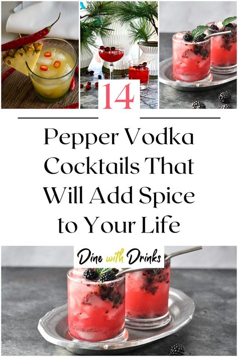 Collage of 4 pepper vodka cocktails. Spicy Vodka Drinks, Cayenne Pepper Drink, Pepper Cocktail, Datil Pepper, Vodka Mixed Drinks, Vodka Cocktails Easy, Vodka Recipes Drinks, Unique Cocktail Recipes, Spicy Drinks