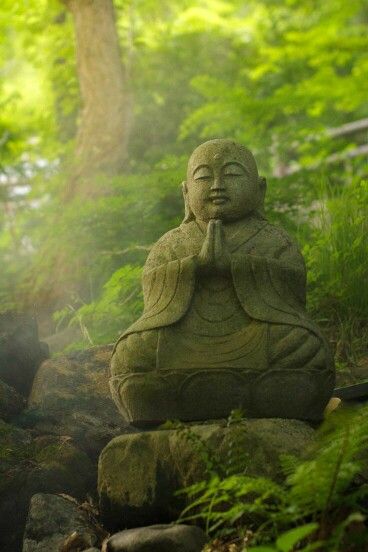 . Image Zen, Meditation Scripts, Buddha Garden, Buddhist Wisdom, Little Buddha, Buddha Zen, Best Meditation, Gautama Buddha, Buddha Image