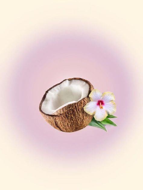 Coconut Icon, Coconut Aesthetic, Coconut Flower, Teenage Wasteland, Coconut Girl Aesthetic, Coconuts Beach, Coconut Bowls, Coconut Dream, App Background