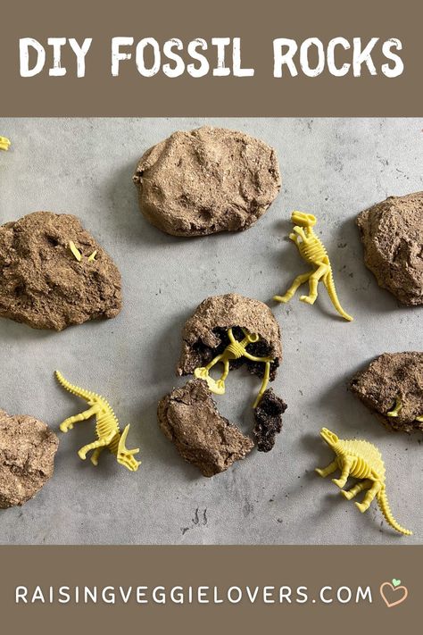 Do you have a dinosaur loving kid like I do? If so, try these DIY dinosaur fossil rocks! They're easy to make and so much fun to break open and discover dinosaurs! #dinosaurs #dinosaurfossils #diy #diyfossils #kidsactivities #preschoolactivities #kindergartenactivities #homeschool #paleontology Dinosaurs Fossils Preschool, Easy Fossil Activity, How To Make Dinosaur Fossils, Dinosaur Excavation Kit Diy, Salt Dough Dinosaur Fossils, Diy Dinosaur Fossil Dig, Diy Dino Fossils, How To Make Fossils, Fossil Themed Party