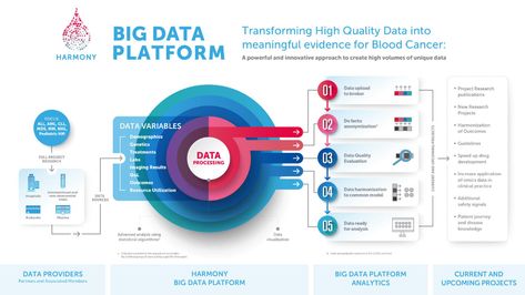 Presenting the HARMONY Big Data Platform Infographic - HARMONY Alliance Complex Infographic, Diagrams Infographic, Project Management Infographic, Infographic Diagram, Flow Chart Design, Business Strategy Management, Data Platform, Enterprise Architecture, Business Web Design