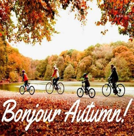 Happy #Autumn ! Yes it may still feel like summer here in #France ... but #Automne officially started yesterday!  Autumn is a perfect time for #cycling - so jump on a @BikeHireDirectFrance #bike and start crunching leaves with your wheels!     #GoodbyeSummer #Charente #CharenteMaritime #Dordogne #Gironde #HauteVienne #Var #Vendee #Vienne86 #bikehiredirect #velo #DispoVelo #NouvelleAquitaine #PaysdelaLoire #ProvenceAlpesCotedAzur William And Mary College, Oregon College, Happy Autumn, William & Mary, Bike Pics, Bike Pic, William And Mary, Williamsburg Va, Dream School