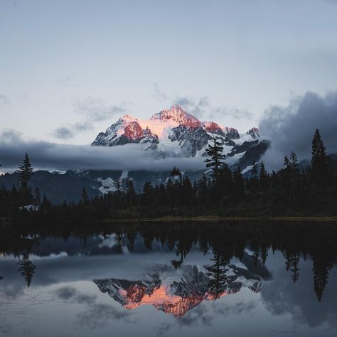 Washington Tattoo, Mount Baker, Hiking Photography, Amazing Landscapes, Misty Forest, Mountain Lake, Photography Travel, Travel Decor, Paris Travel