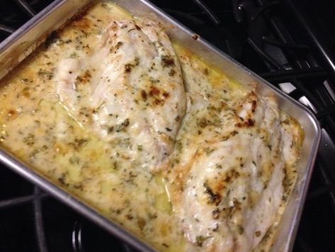 What's for Dinner Tonight — Baked Grouper Grouper Fish Recipes, Baked Grouper, Grouper Recipes, Grouper Fillet, Grouper Fish, Fish Recipes Baked, Broiled Fish, Copycat Restaurant Recipes, What's For Dinner