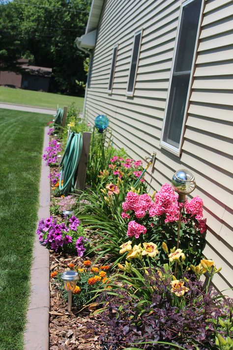 Wild Flowers Around House, Flowers Around House Ideas, Side Of House Flowers, Flower Bed Ideas Side Of House, Flower Garden Around House, Side Of House Flower Bed, Wild Flowers Front Yard, Flower Beds In Front Of Mobile Home, Mobile Home Flower Beds