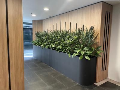 Interior Plants Decoration, Plant Office Design, Plants For Office, Indoor Planter Box, Planter Box Designs, Long Planter, Indoor Plant Wall, Plant Window, Artificial Plants Indoor